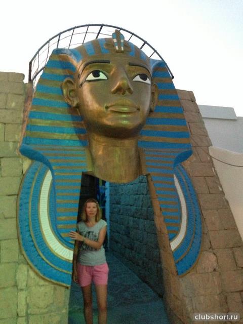 38335_cbdxj3ioomu.jpg